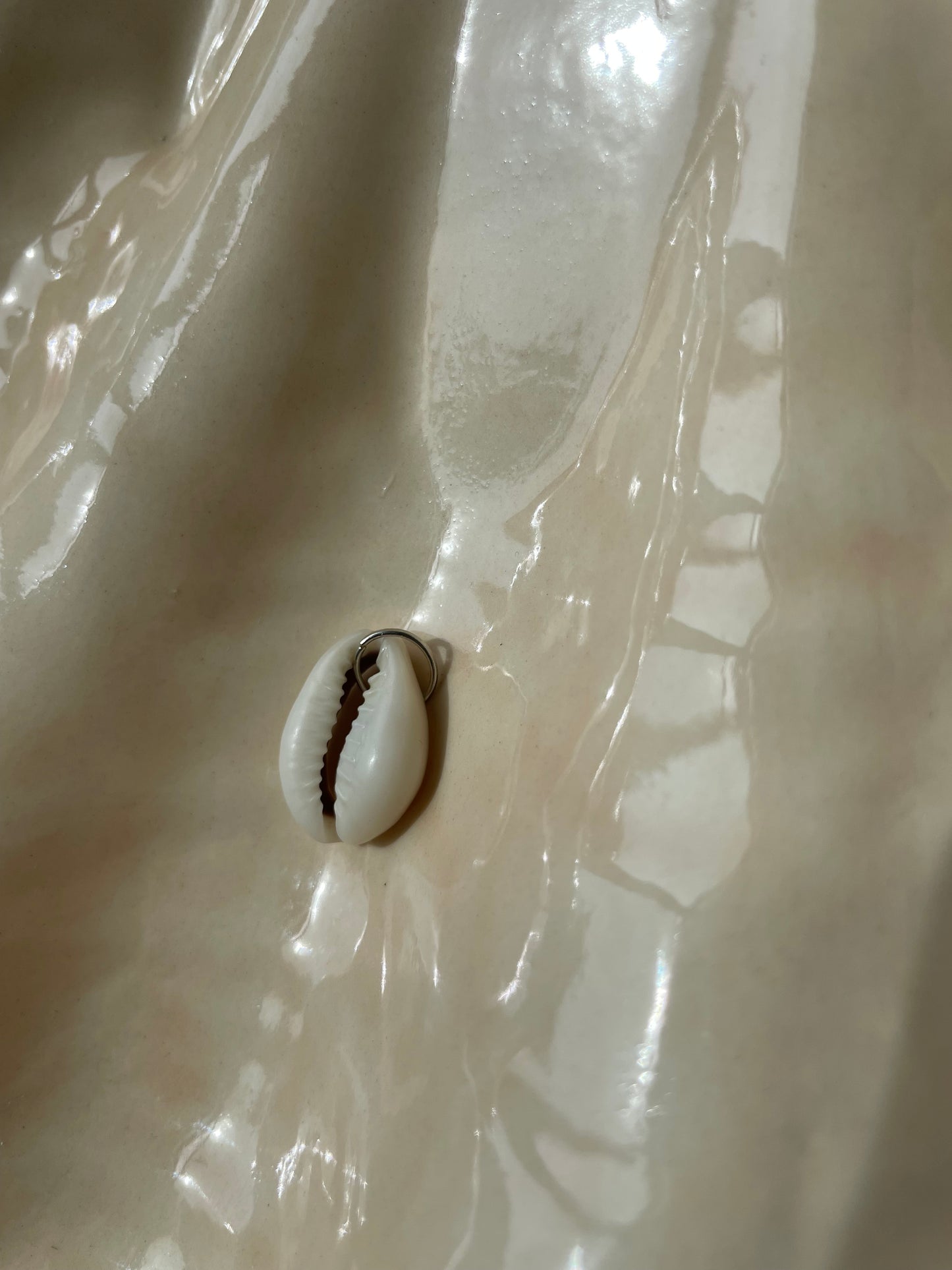 Cowrie shell / silver hoop