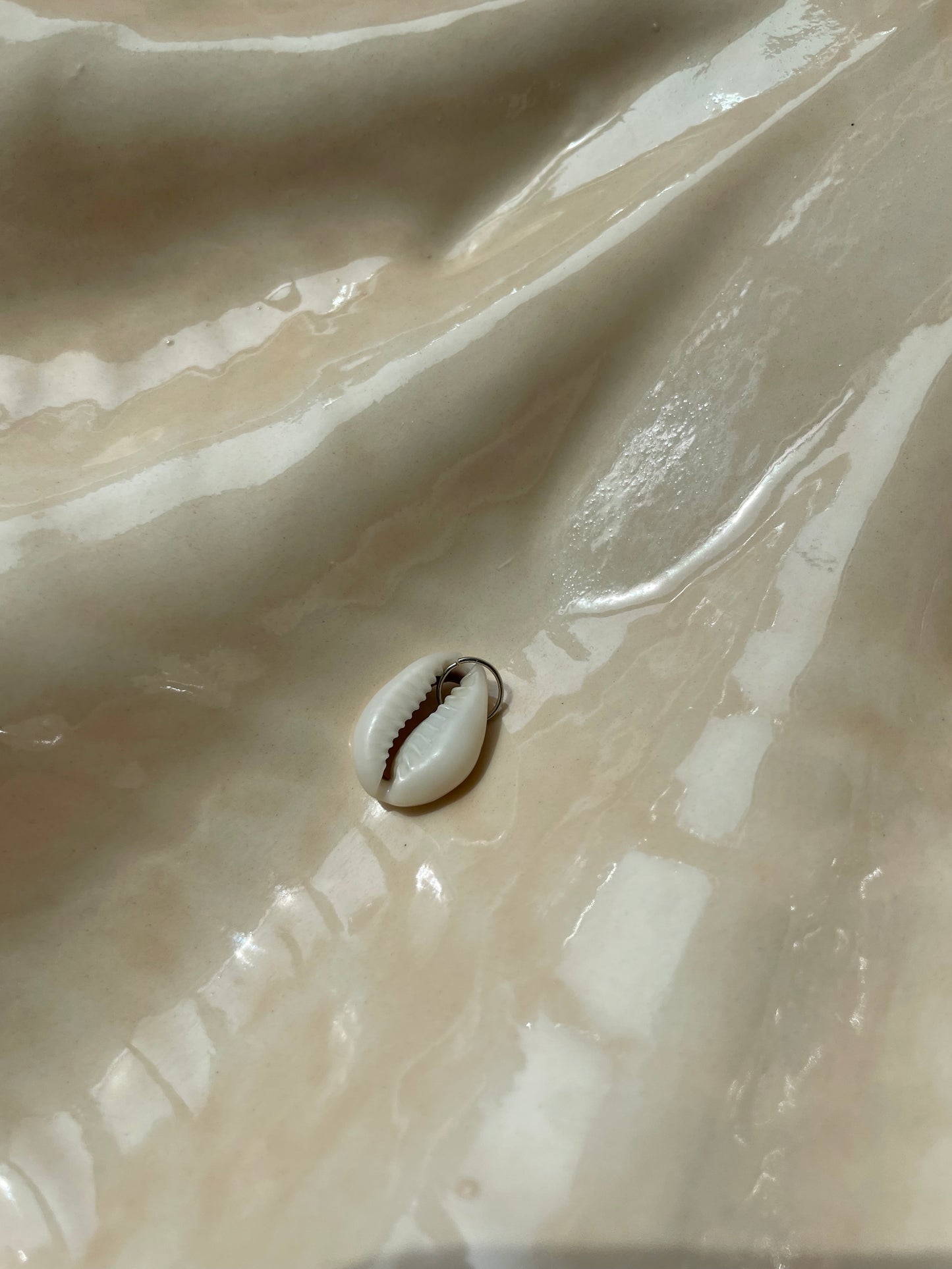 Cowrie shell / silver hoop