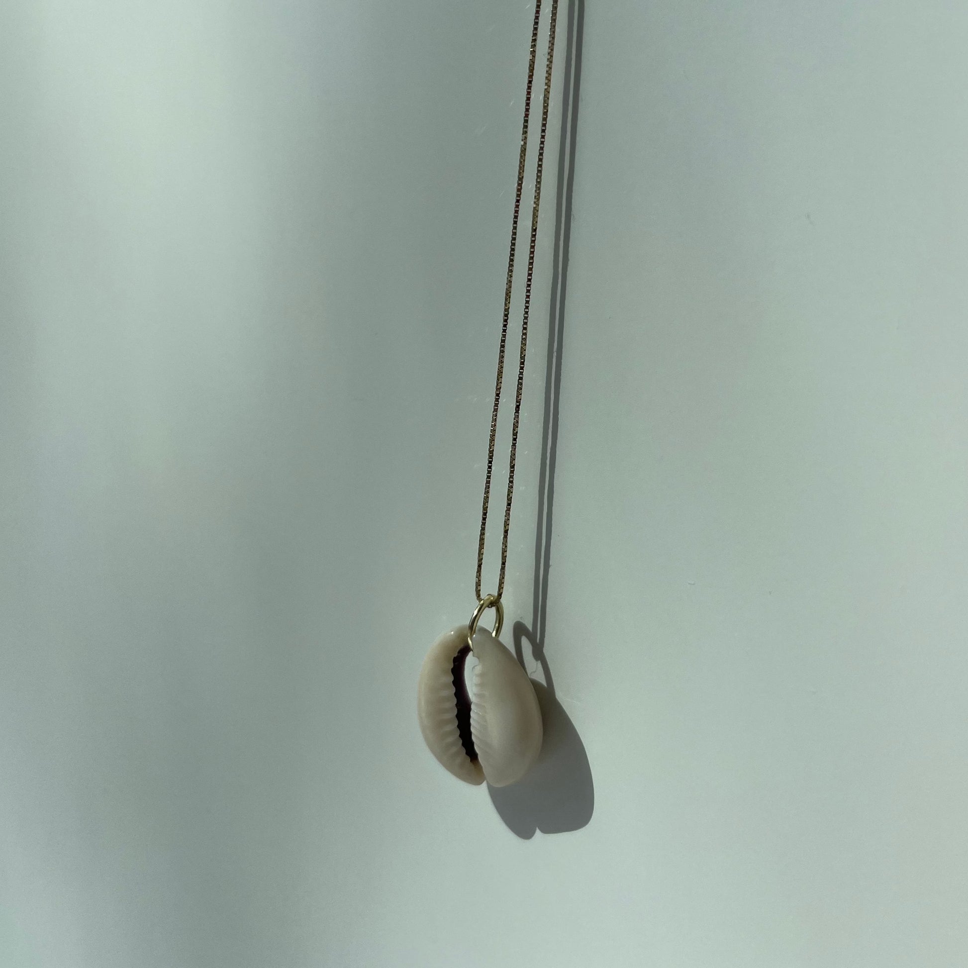 metal_necklace_shell_1.4